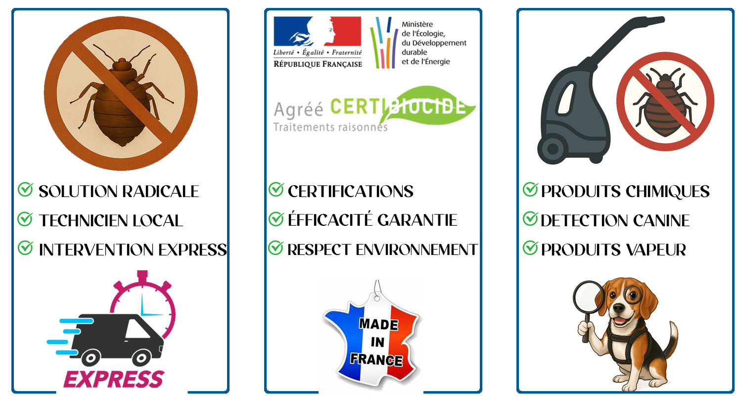 Punaises de Lit Chevilly Larue