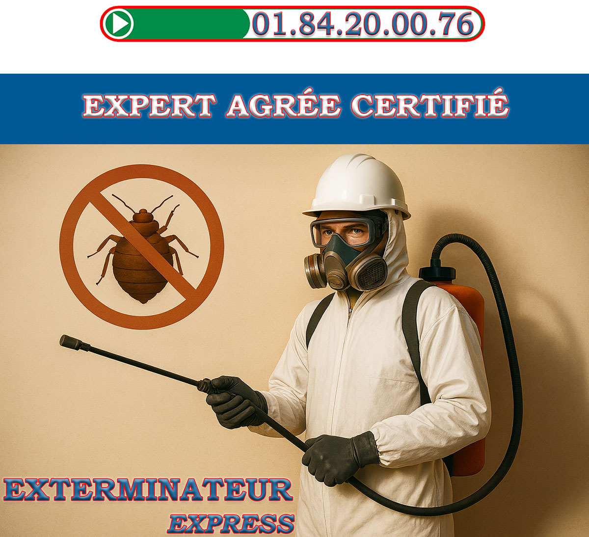 Punaises de Lit Chevilly Larue